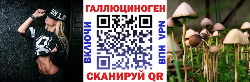 площадка формула  Братск  Псилоцибиновые грибы Psilocybe  kraken онион 